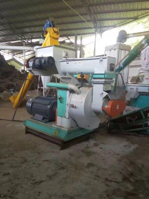 380V Spanning Plastic Crushing Houtbreker Hamer Mill voor huisdier flessen versnippering